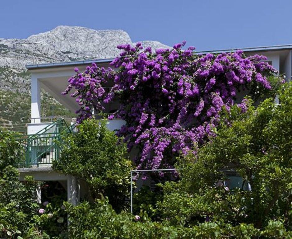 House Marta Διαμέρισμα Baška Voda Εξωτερικό φωτογραφία